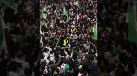 Syrians in Sweden celebrate the overthrow of Assad regime