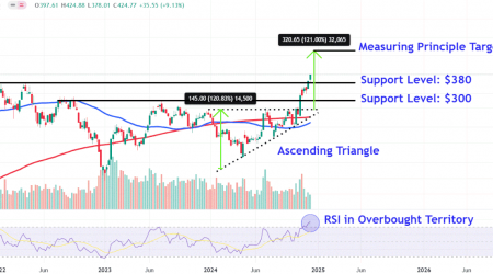 Watch These Tesla Stock Price Levels After First Record High in Three Years