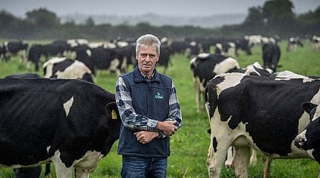 ICMSA say End-of-Year Bonus should be on the agenda of all milk processors