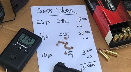 Snub Work: A 10-Shot Carry Revolver Quiz