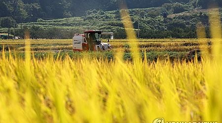 S. Korea to reduce rice production area to address falling demand