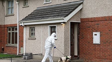 Kyran Durnin investigation: Search to resume at Drogheda house after man arrested