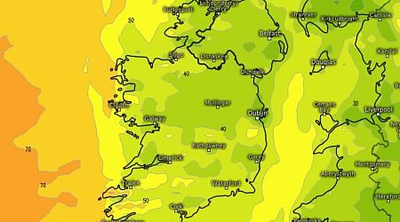 'Plenty of wind' to hit Ireland in days as Met Eireann warn temps will plunge to -1C tonight after 'boring' weather