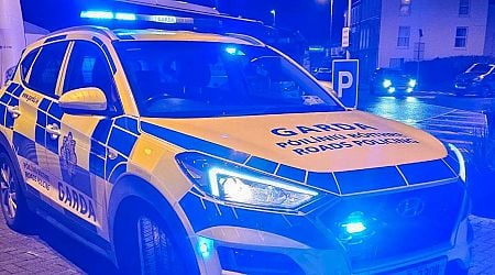 Drink-driver nearly crashes into gardai as they were arresting drug-driving learner travelling at 174km/h