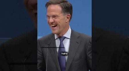 &quot;Putin realizes that there is no escape.&quot; NATO Chief #nato #putin #markrutte #politics #europe