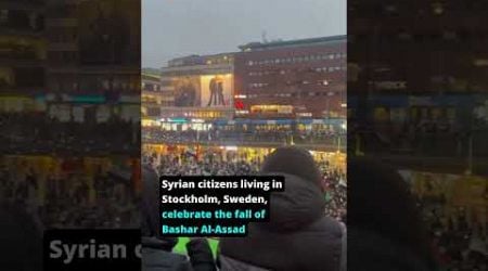 Syrian citizens living in Stockholm, Sweden, celebrate the fall of Bashar Al-Assad