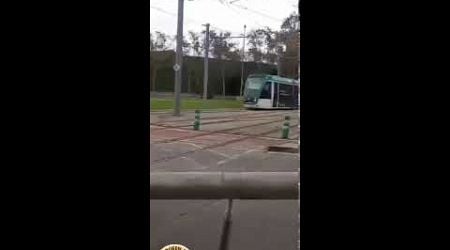 #ASMR TRAM in Spain #asmrsounds #asmr