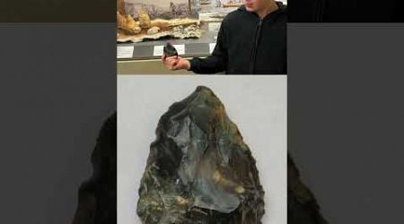 Rock found by a 6-year-old on a beach is actually a 50,000-year-old Neanderthal ax