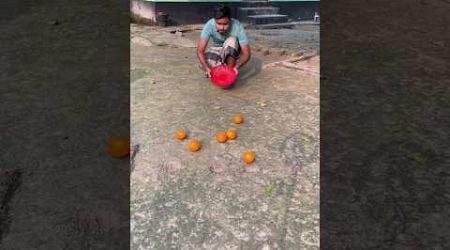 New Magic Video by Malta Fruit amazing magic video #magic #viralvideo #shortvideo #shorts