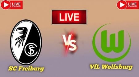 CF Freiburg vs VfL Wolfsburg live match score updates today | Bundesliga live football score 2024.