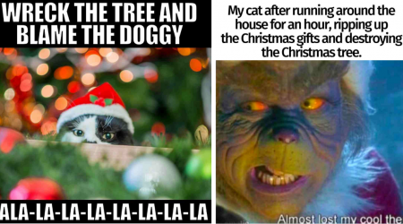 23 Festive Funny Feline Memes Fortifying the Christmas Tree Against Holiday Hooligansim From Hissterical House Cats