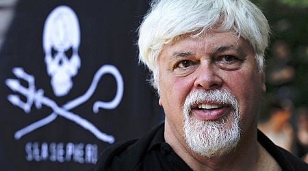 Freed anti-whaling activist Paul Watson won't face extradition by Denmark to Japan - lawyer