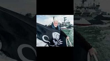 free Paul Watson