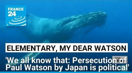 Was Japan standing on a whale? Dismissal the &#39;only proper political answer to extradition request&#39;