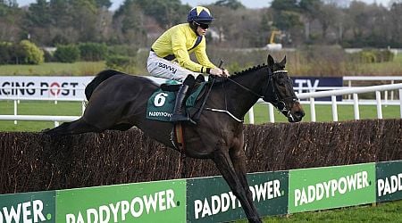 Irish trainer gives bullish update on his stable star ahead of Leopardstown's Christmas Festival