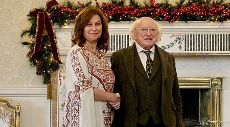 A deep slander to call the Irish anti-Semitic, says President Higgins