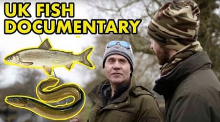 Beneath the Waterline: UK FISH DOCUMENTARY (2014)