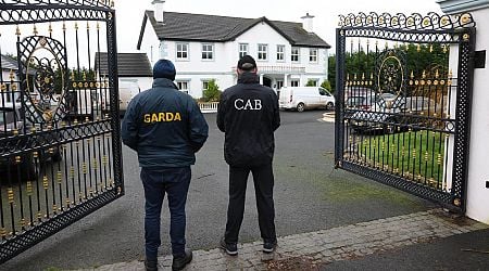 Pictured: CAB swoop on Louth 'White House' mansion belonging to 'leader of crime group' and glamorous wife 