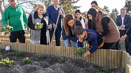 Wied In&#267;ita open to the public: a 20,000-square-metre green space restored