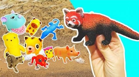 Learn Animal Names &amp; Facts at the Lake for Kids: Mouse Tiger Dog Bear