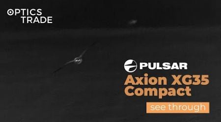 Owl with Pulsar Axion XG35 Compact | Optics Trade See Through