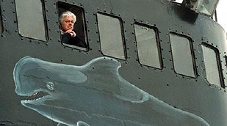 Antiwhaling activist Paul Watson released as Denmark rejects extradition