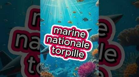 marine nationale torpille