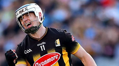 TJ Reid's longevity 'will never been seen again' says former Kilkenny teammate