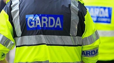 Second man to appear in court over assault on off duty Gardai