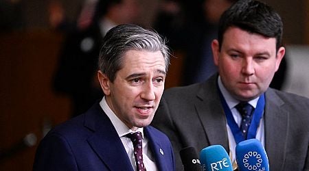 Simon Harris hopes Occupied Territories Bill will be passed next year