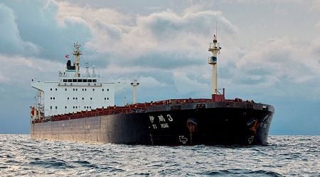 Yi Peng 3: Swedish police board ship in Baltic severed cable probe