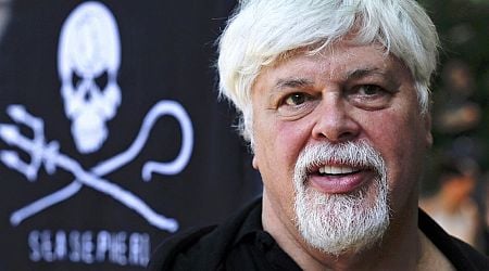 Freed anti-whaling activist Paul Watson won't face extradition by Denmark to Japan - lawyer