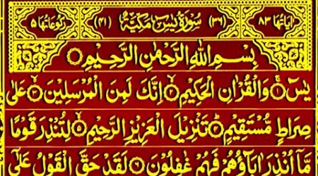 Surah Yaseen Surah Ar Rahman || With Arabic text || Best Qur&#39;an Recitation || Surah Yasin Tilawat