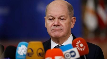 Scholz dismisses Musk's assertion that only a far-right party can 'save' Germany