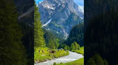 Switzerland: The Land of Pure Nature