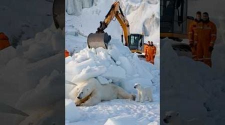 A volunteer animal rescue team arrived just in time to rescue a polar bear buried by an iceberg