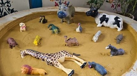 Animal Kingdom Clash: Farm animals and Jungle animals in the Sandbox