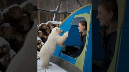 Kind hearted girl rescues injured polar bear mother, touching story about animal love