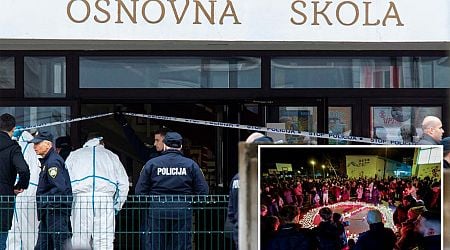 A teenager stabs a 7-year-old to death in a Croatian school