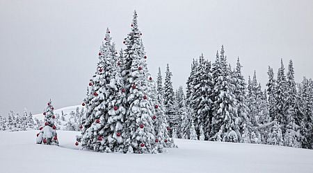 Dreaming of a white Christmas? Snow is likely in these US states according to NOAA climate data