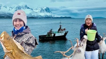 Arctic Sea Cod Fishing &amp; Reindeer Stew! (Things to do in Norway)