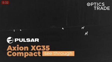 Roe Deer with Pulsar Axion XG35 Compact | Optics Trade See Through