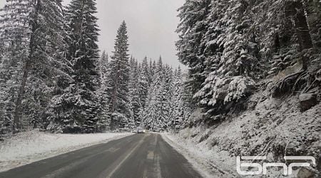 Increased traffic on Bulgaria's roads before Christmas, rain and snow expected