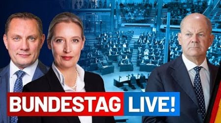 SCHOLZ STELLT VERTRAUENSFRAGE LIVE - 205. Sitzung - AfD-Fraktion im Bundestag