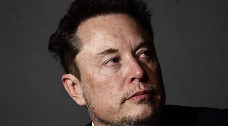 Elon Musk sparks backlash in Germany after calling the chancellor an 'incompetent fool' and backing the far-right AfD party