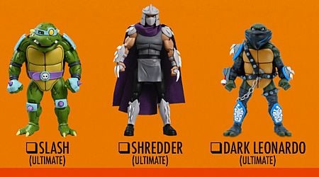 NECA 12 Days of Downloads - TMNT Animated Series Figures