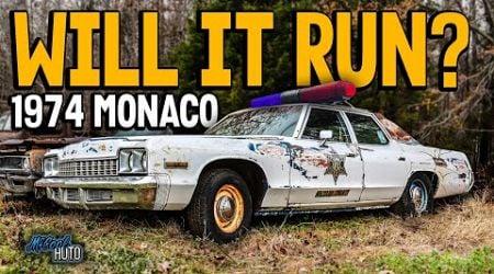 Will It Run? FORGOTTEN Dodge Monaco First Start in Years!