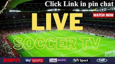 Dender vs Antwerp - 2024 Jupiler Pro League Live Full Game Today