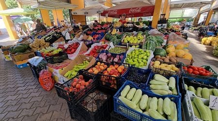 Wholesale Prices of Almost All Basic Food Producs, Fruit, Veg Up in Past Week