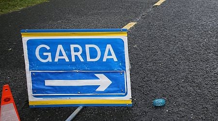 Man (30) dies in Co Offaly single-vehicle crash